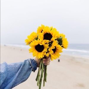 Meet your Posher, Bozena